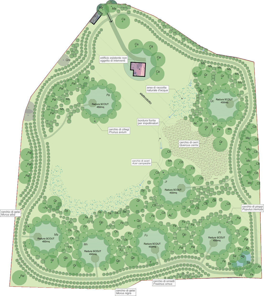 Progetto Piantalalì