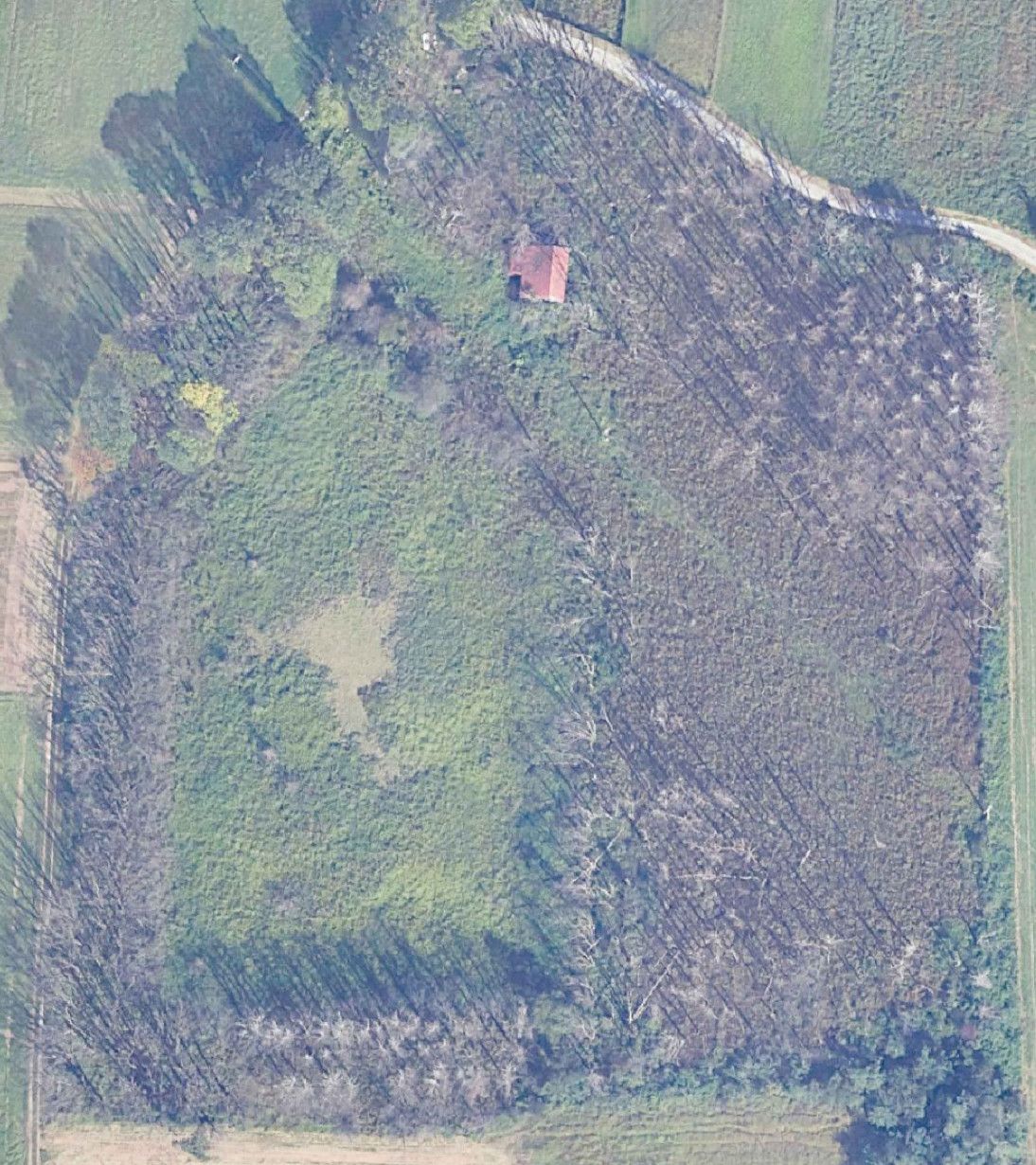 Vista da satellite